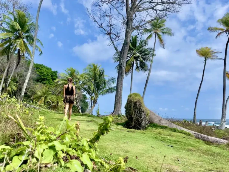 What to do in St. Lucia’s North