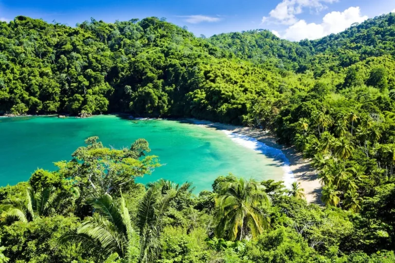 Tobago Beach: English Man's Cove