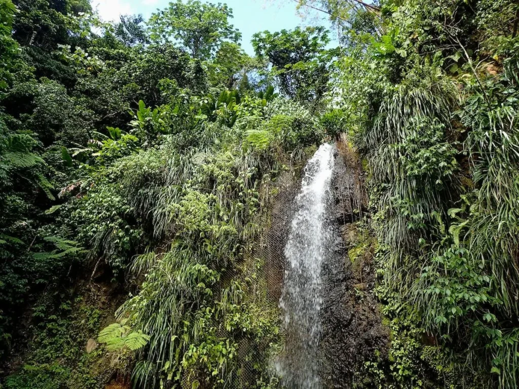 diamond waterfalls in Soufriere st lucia