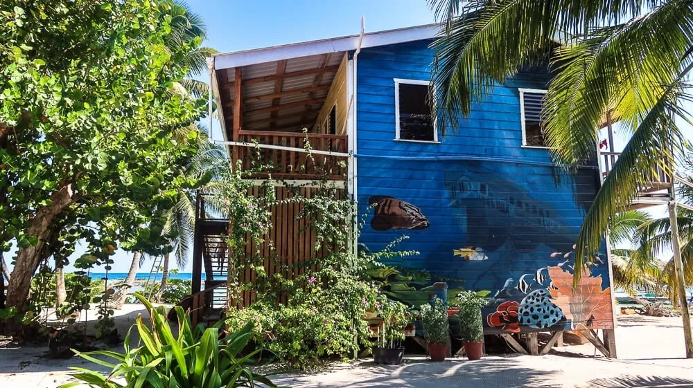 Tobacco Caye, Belize: Reefs end