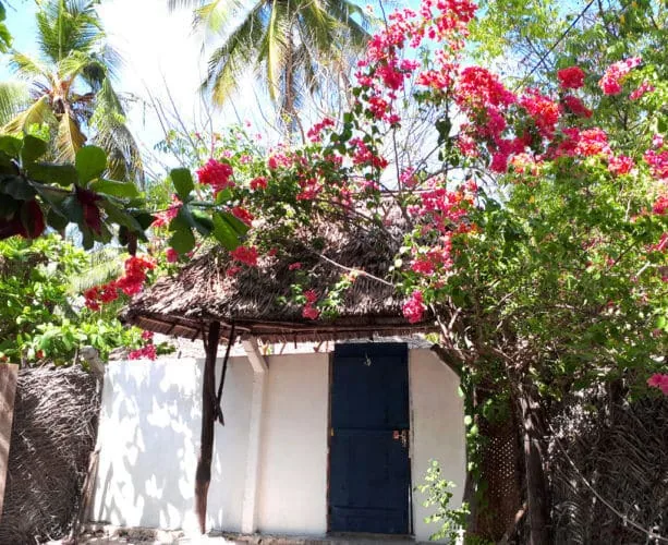 tanzania travel Zanzibar beaches