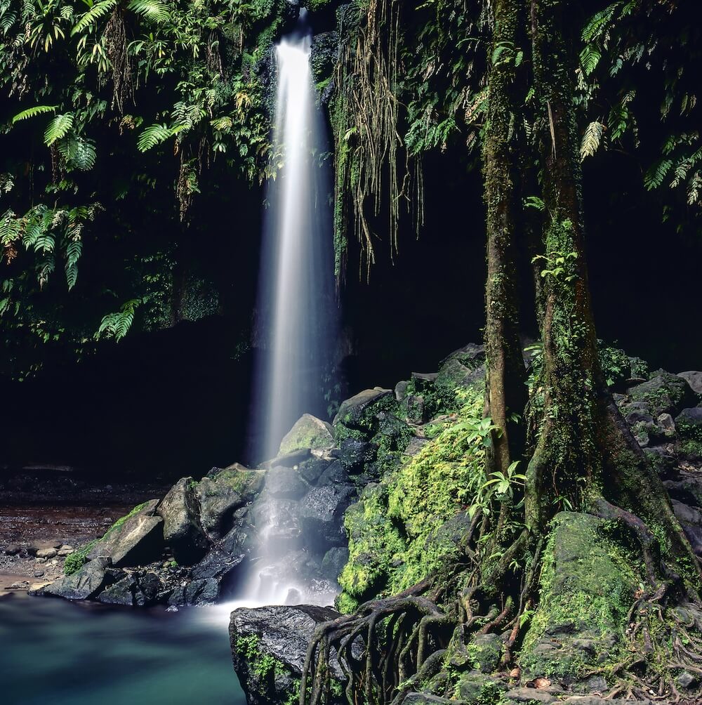 emerald pool dominica